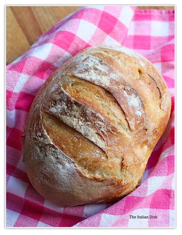 Incredible crust: bread-baking in a cloche - Artisan Bread in Five